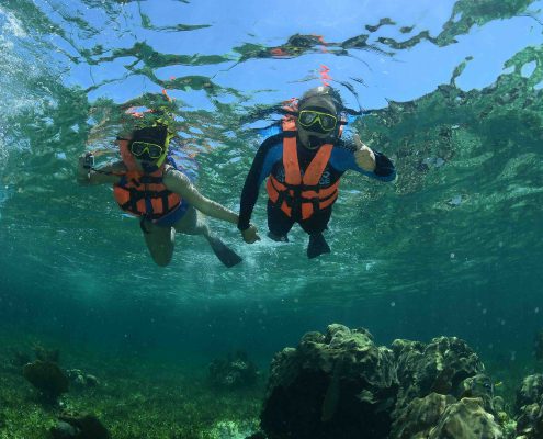 snorkeling-tour-puerto-morelos-arrecife