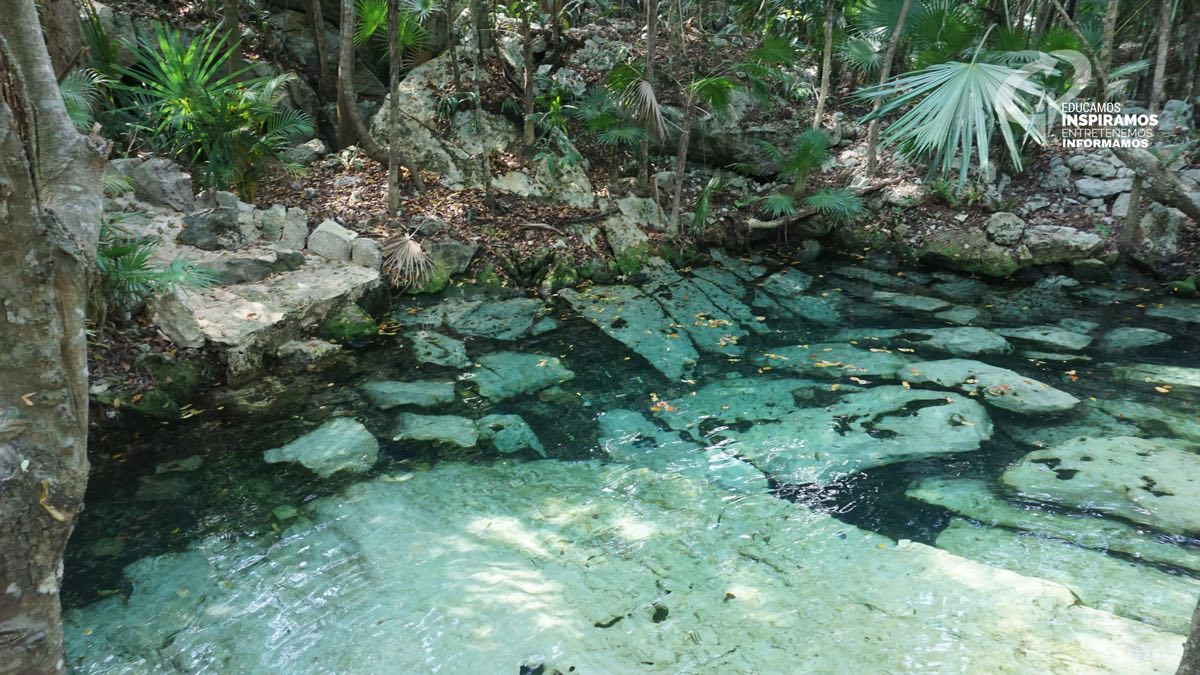 el-cenote-azul-riviera-maya