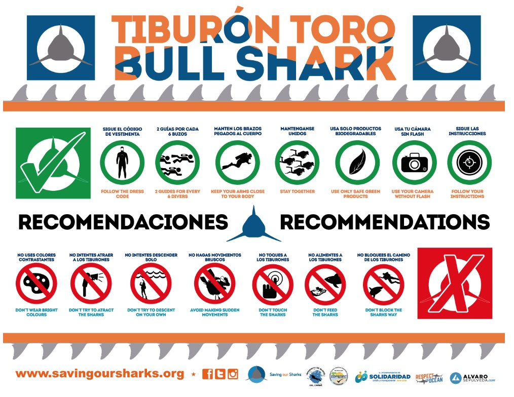 buceo-tiburon-toro-playa-del-carmen