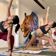 brikram-yoga-riviera-maya-studio-hatha