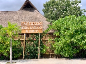 Santuario María Desatadora de Nudos en Cancún. - Riviera Maya